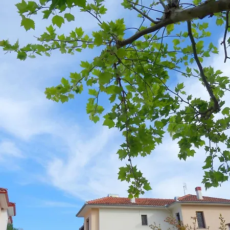 Apanemi Villa *