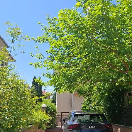 Apanemi *